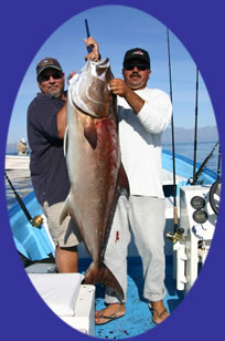 Our Amigo Juan with his 88# Amberjack caught on 20# and iron on Suerte II with Captain Manuel