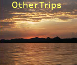 Sportfishing, ABSOLUTELY! - Other Trips, YEAH!